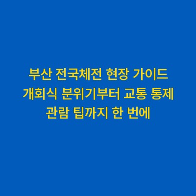 부산 전국체전 현장 가이드 개회식 분위기부터 교통 통제 관람 팁까지 한 번에