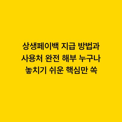 상생페이백 지급 방법과 사용처 완전 해부 누구나 놓치기 쉬운 핵심만 쏙