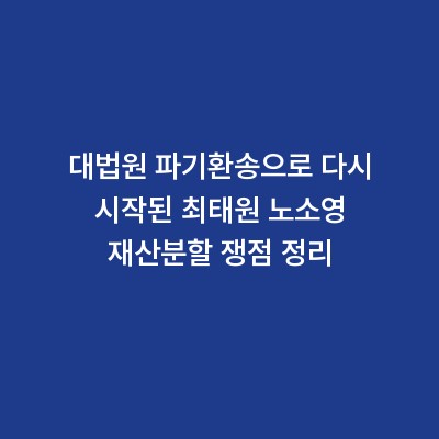 대법원 파기환송으로 다시 시작된 최태원 노소영 재산분할 쟁점 정리