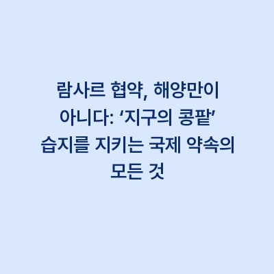 람사르 협약, 해양만이 아니다: ‘지구의 콩팥’ 습지를 지키는 국제 약속의 모든 것