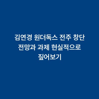 김연경 원더독스 전주 창단 전망과 과제 현실적으로 짚어보기