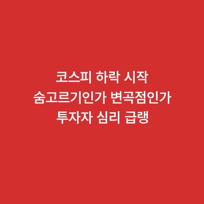 코스피 하락 시작 숨고르기인가 변곡점인가 투자자 심리 급랭