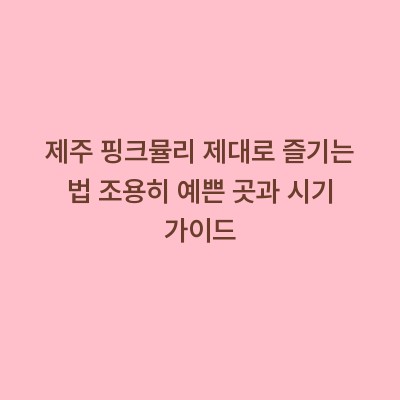 제주 핑크뮬리 제대로 즐기는 법 조용히 예쁜 곳과 시기 가이드