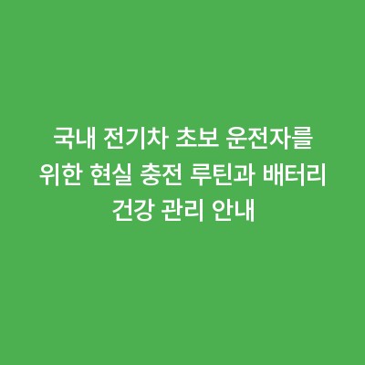 국내 전기차 초보 운전자를 위한 현실 충전 루틴과 배터리 건강 관리 안내