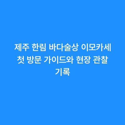 제주 한림 바다술상 이모카세 첫 방문 가이드와 현장 관찰 기록
