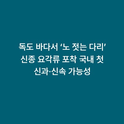 독도 바다서 ‘노 젓는 다리’ 신종 요각류 포착 국내 첫 신과·신속 가능성