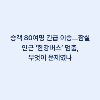 승객 80여명 긴급 이송…잠실 인근 ‘한강버스’ 멈춤, 무엇이 문제였나