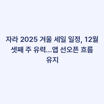 자라 2025 겨울 세일 일정, 12월 셋째 주 유력…앱 선오픈 흐름 유지
